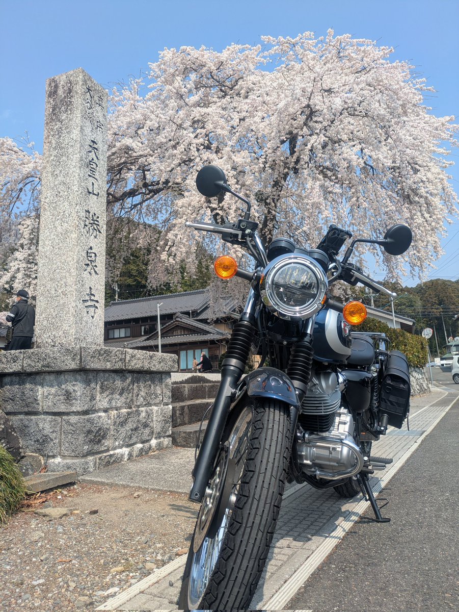 とまり🏕️w230 tweet media