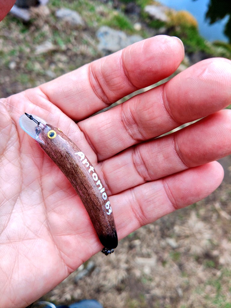 ムネトー@DSファン tweet media