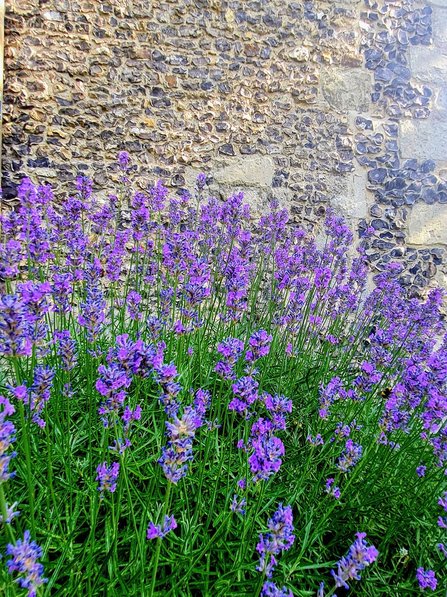 Shakespeare in a Suitcase📚 🎭 tweet media