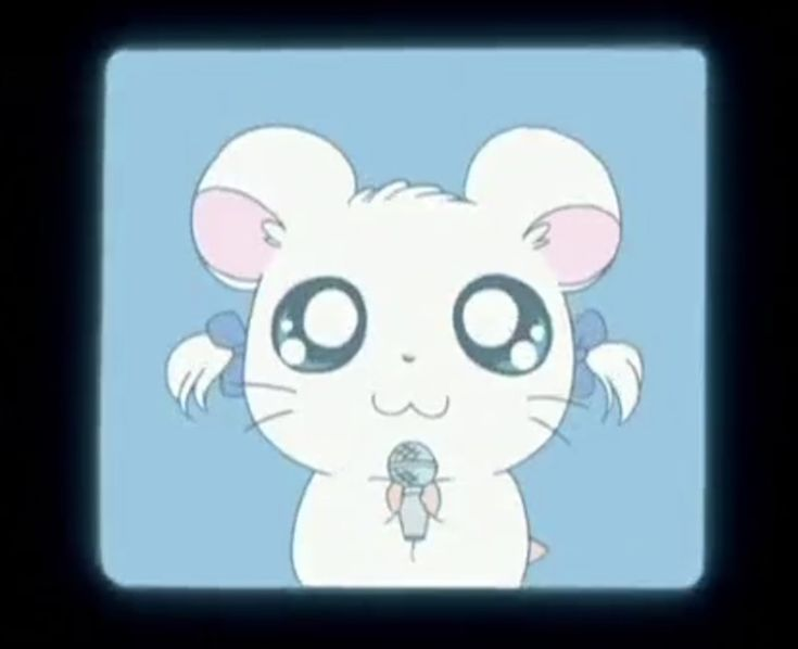 흥부흥분 tweet media