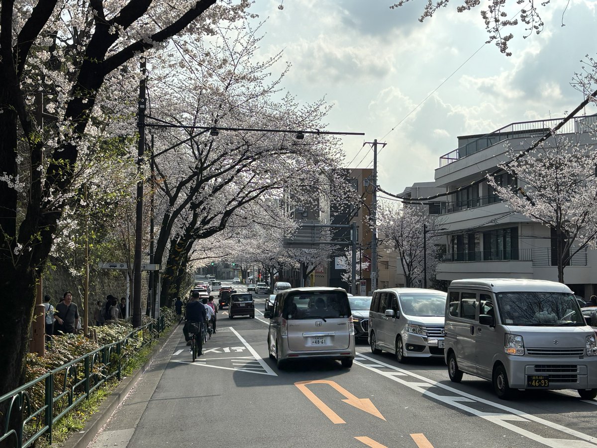 ぺちこ tweet media