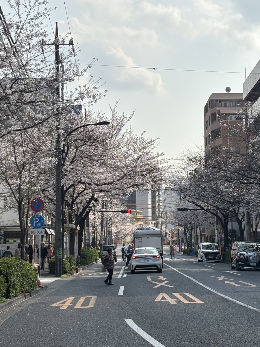 ぺちこ tweet media