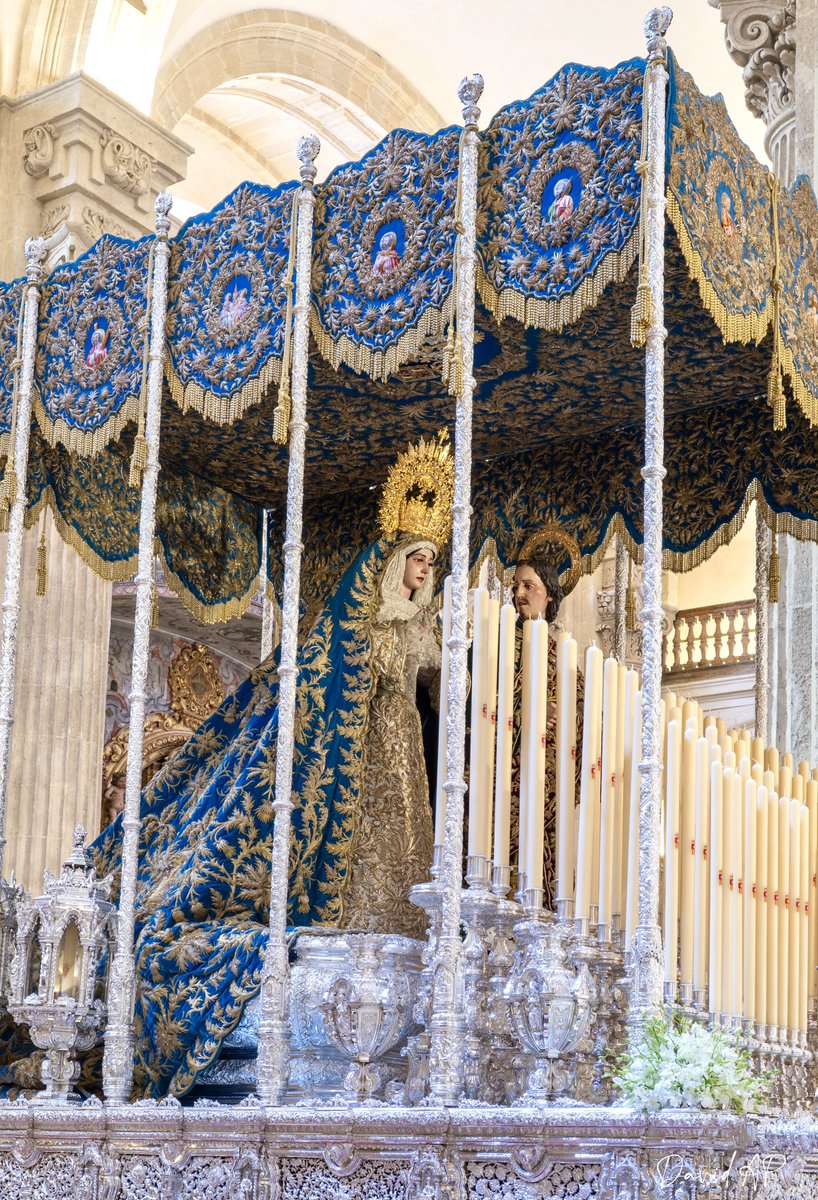 David Arias tweet media