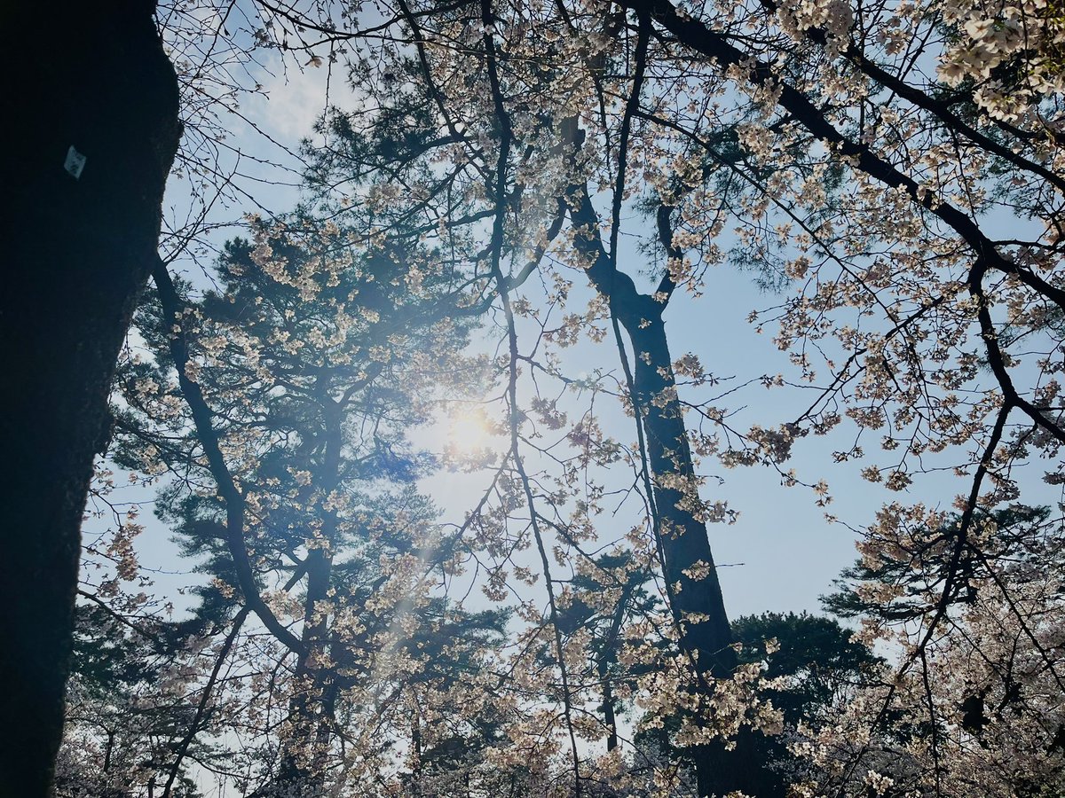 安室＠こわくない心霊配信 tweet media