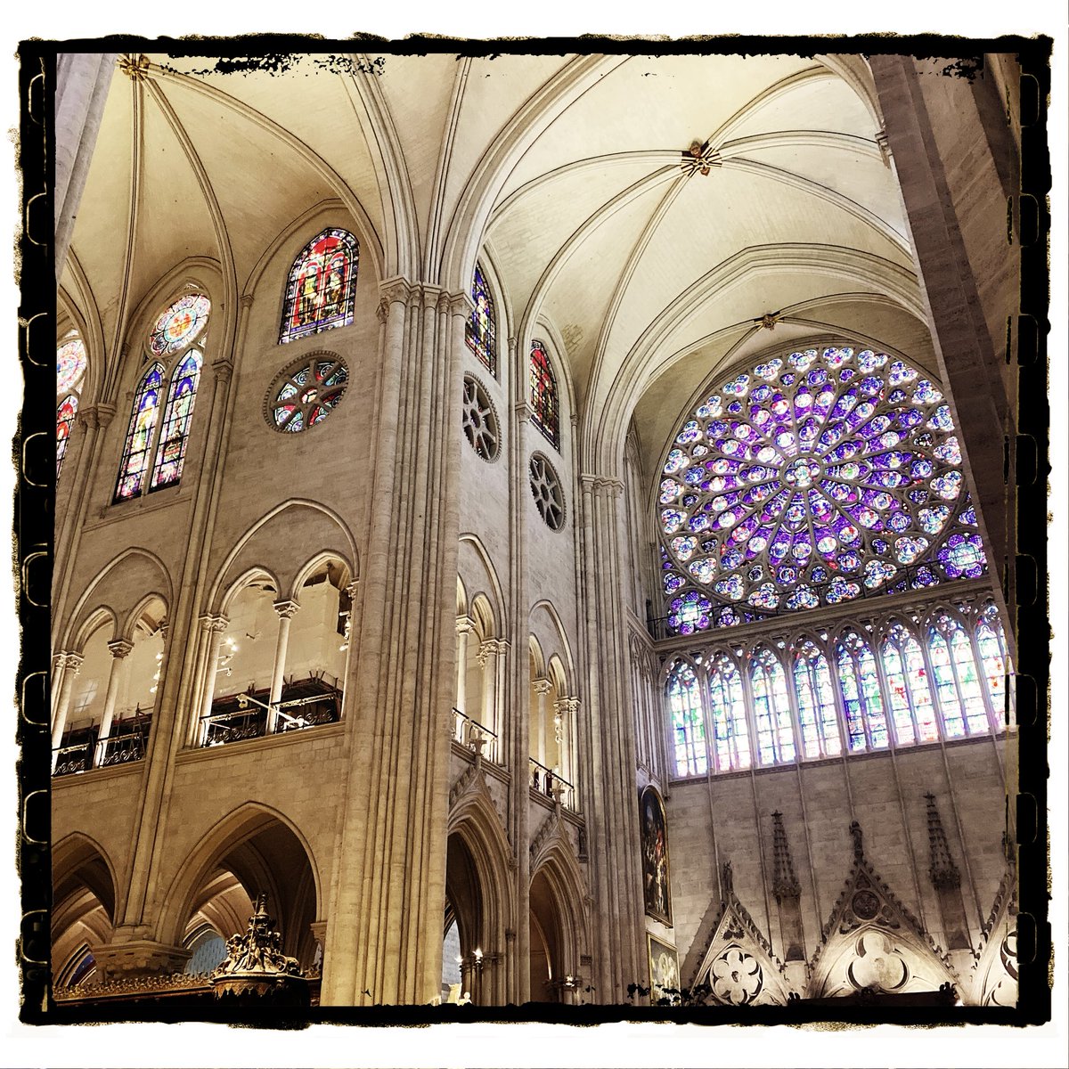 Cate Field 💚🤍💜 tweet media