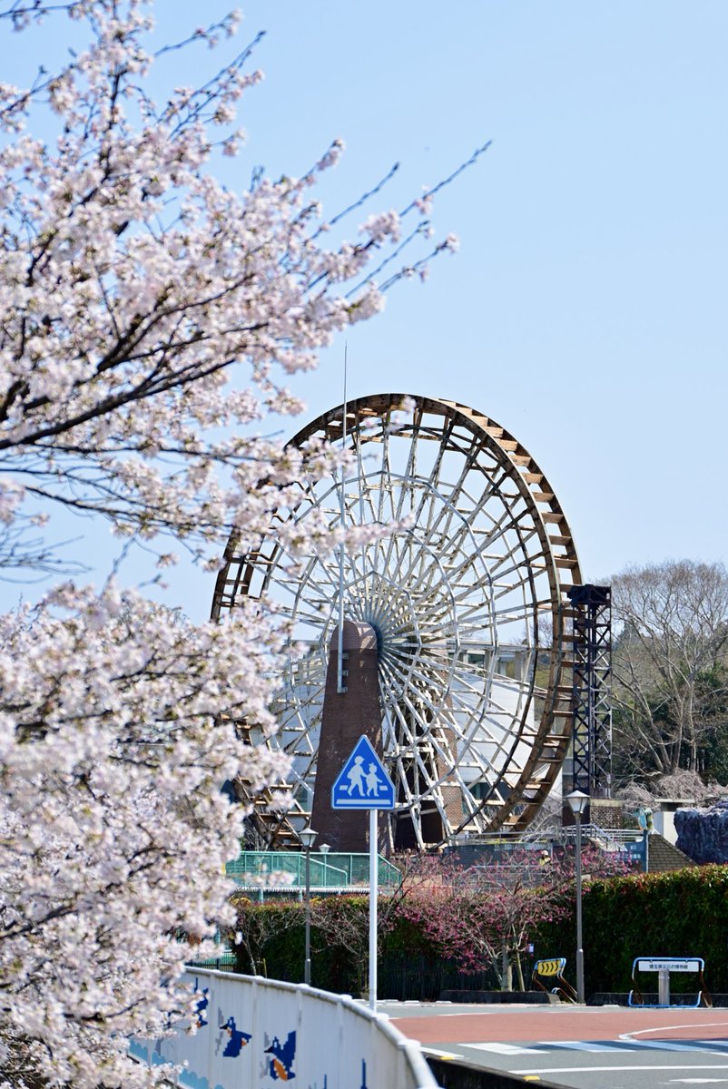 埼玉県寄居町 tweet media