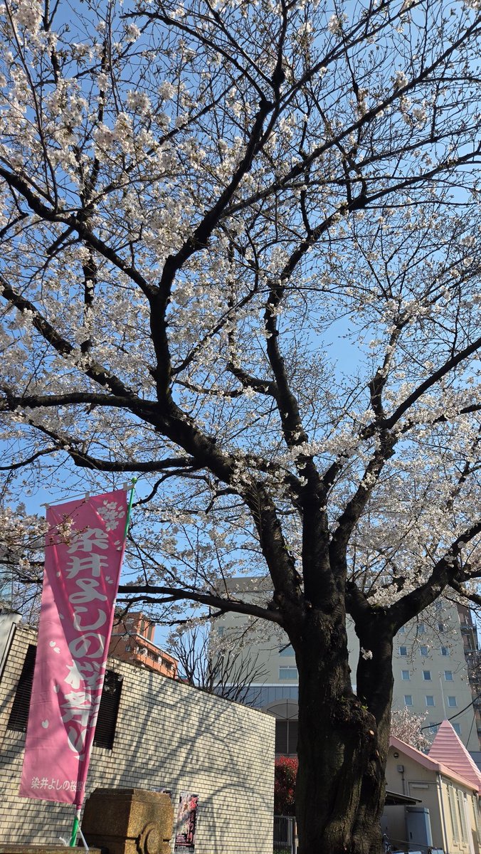 べティ tweet media