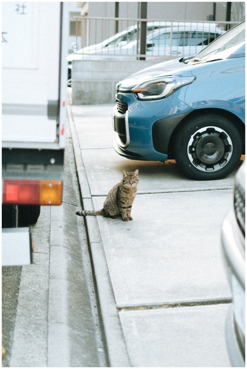 saisekai tweet media