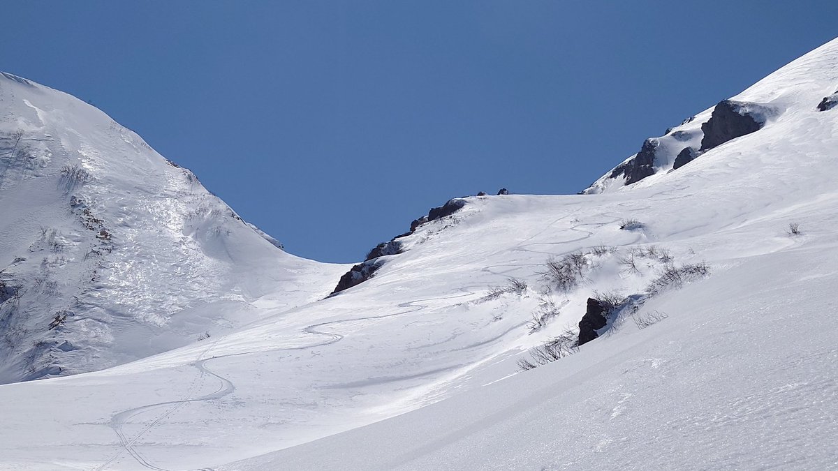 ぶなぱう25 tweet media