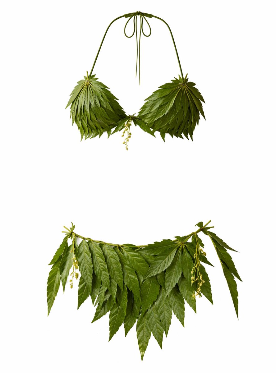 Actress Glamz tweet media