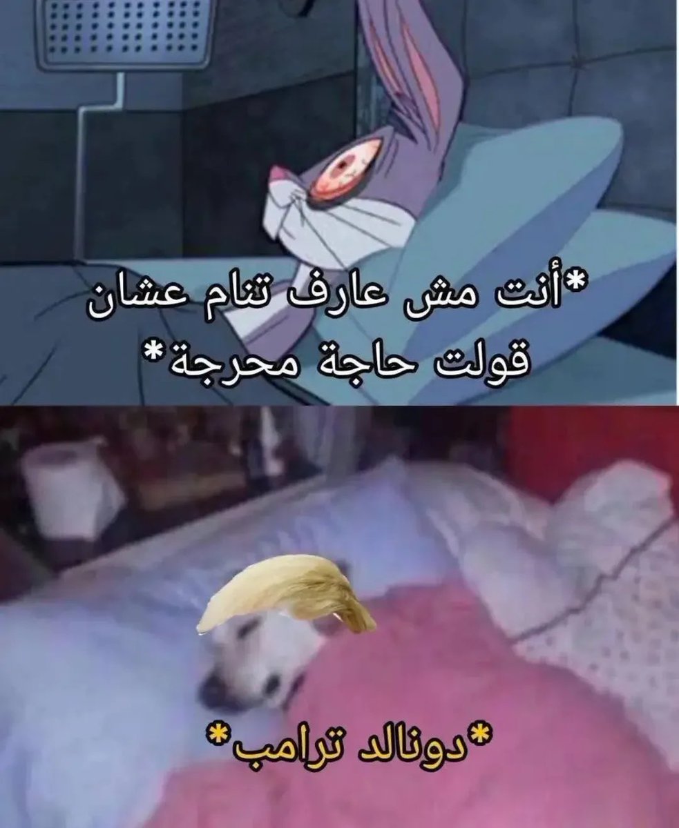 مروان بن حميّد 🇦🇪 tweet media