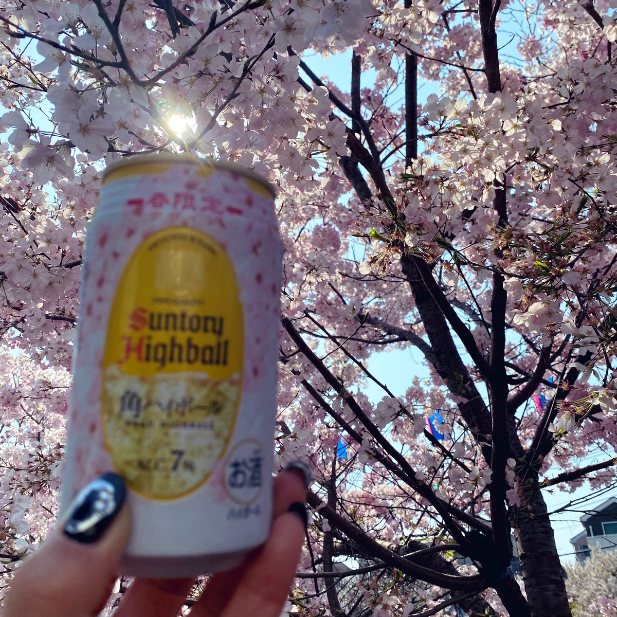 くみ(ーめ) tweet media