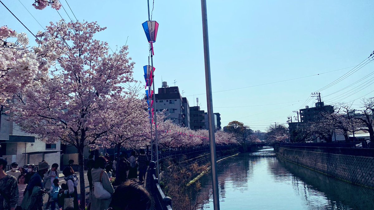 くみ(ーめ) tweet media