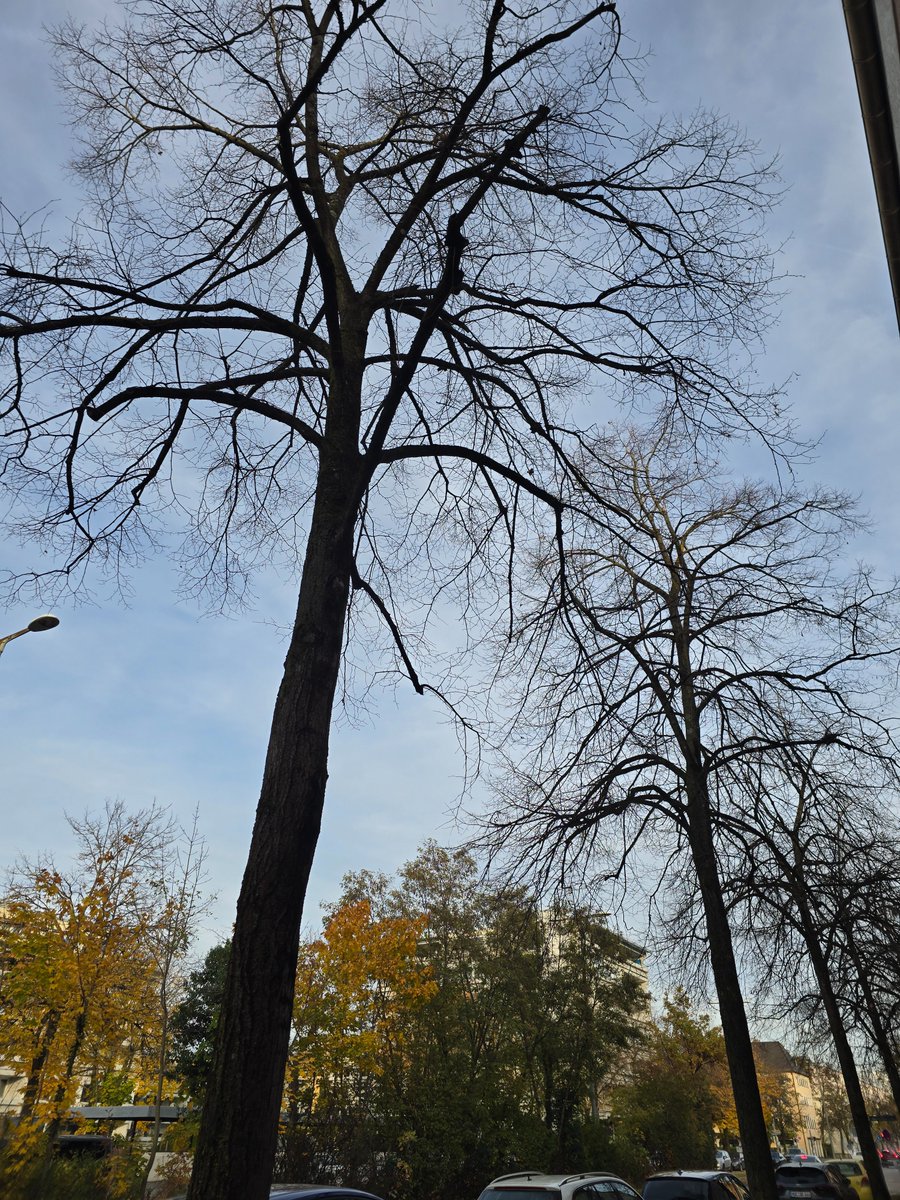 Merantau Ke Jerman tweet media