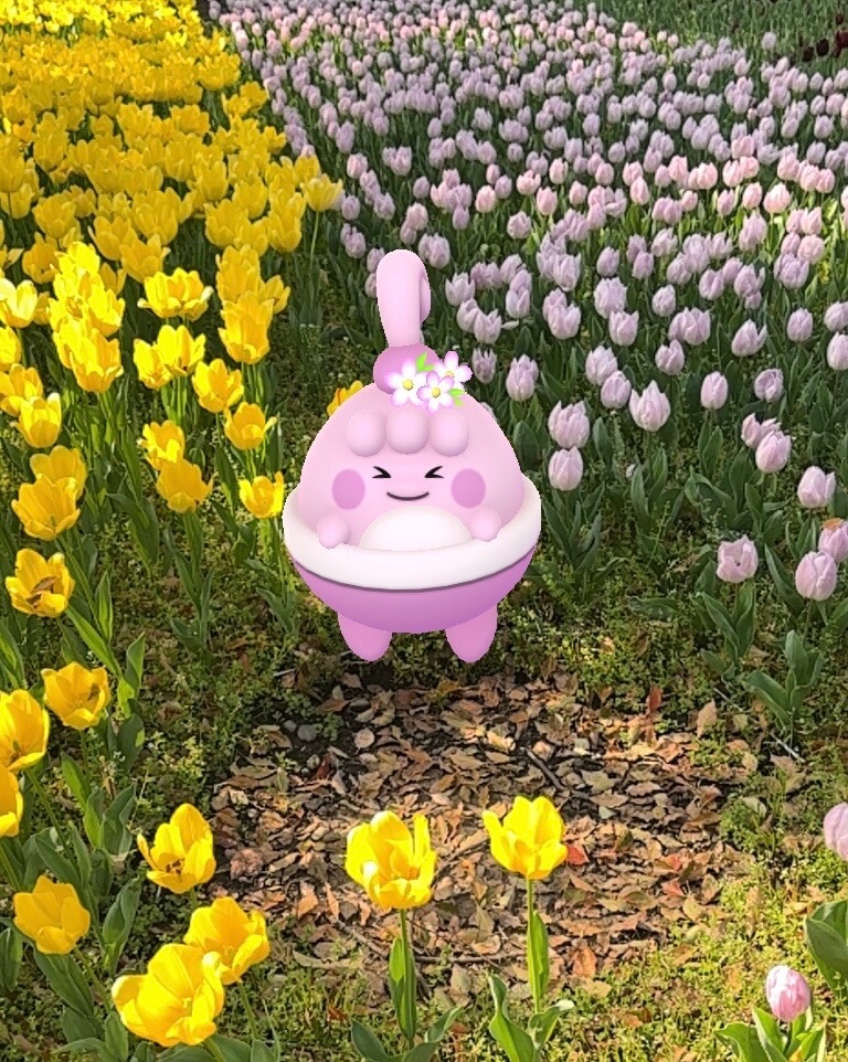 ちゃんしぃ tweet media