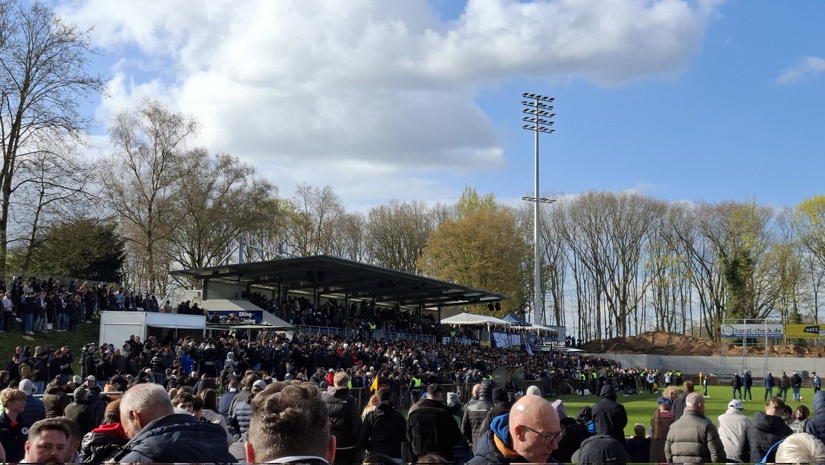 Mark Melgert tweet media