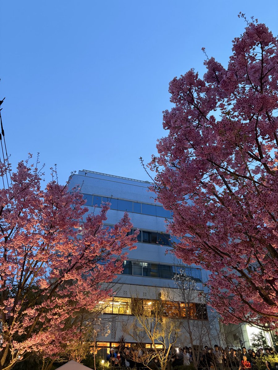 Frank 法蘭克 @Bitget tweet media