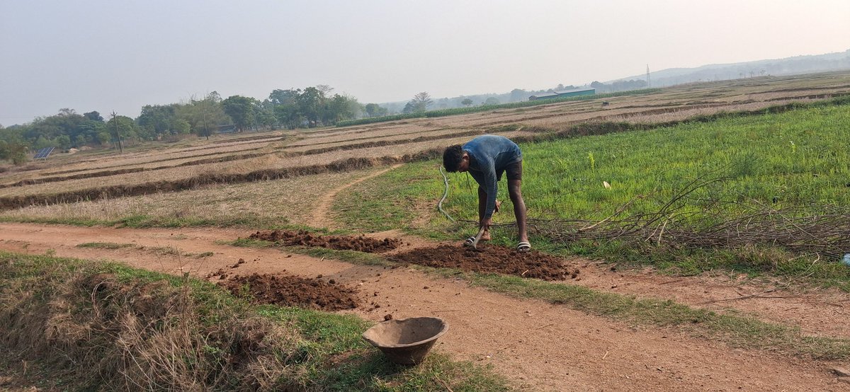 Mr_Birsingh's tweet photo. ବିକଶିତ ଓଡ଼ିଶା - ବିକଶିତ ଗାଁ ରେ କେତେ ଦିନ ଏମିତି ଦେଖିବା ପାଇଁ ମିଳୁ ଥିବ ...???
#odisha #village @CMO_Odisha @DM_Mayurbhanj @JashipurTimes https://t.co/P2X2qfnO4M
