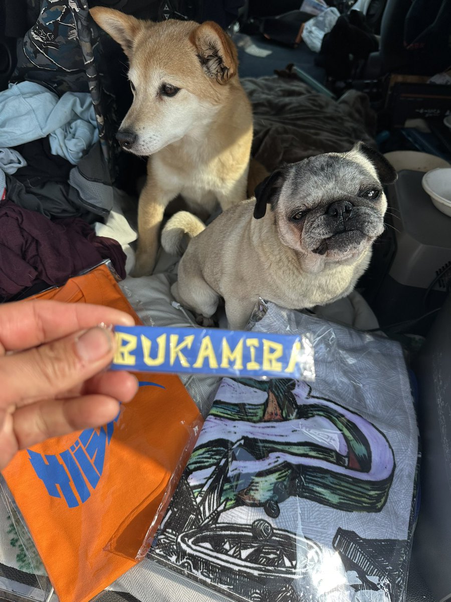 こばっぷ tweet media