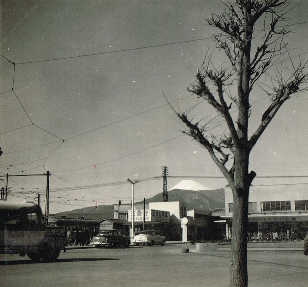 とみさわ tweet media