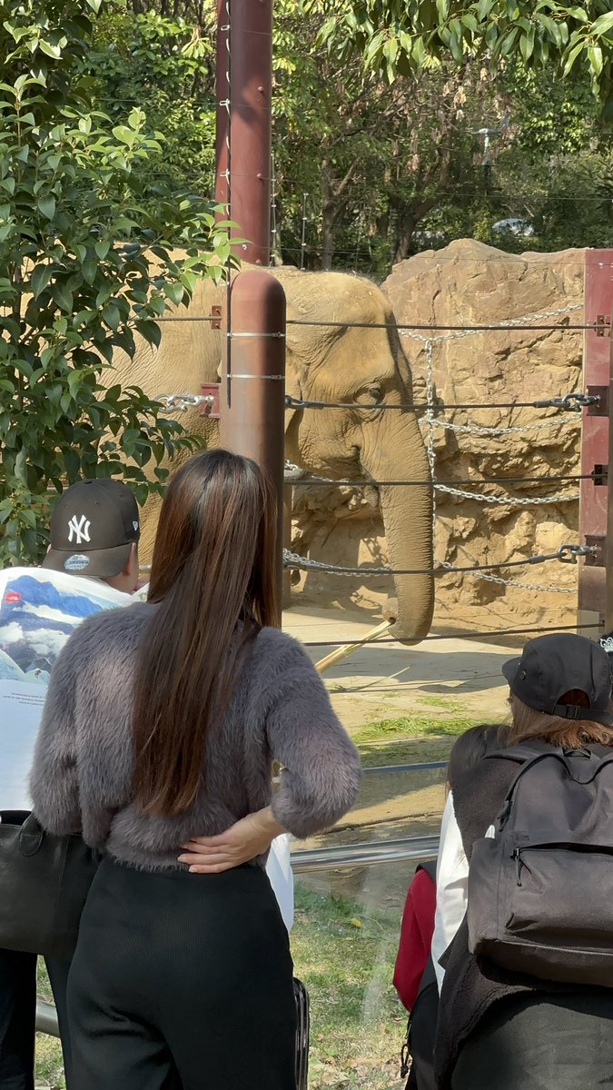 GodDaemonAlpha tweet media