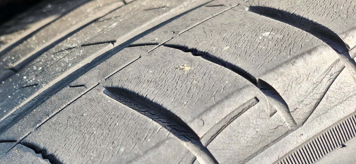 chai 🐇🏍️🚗 tweet media