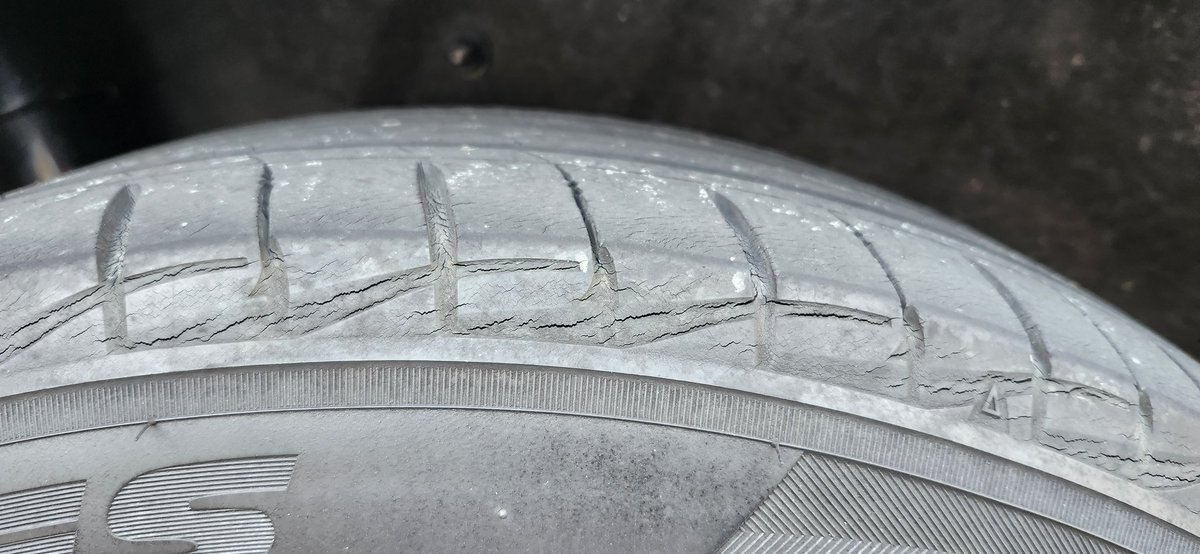 chai 🐇🏍️🚗 tweet media