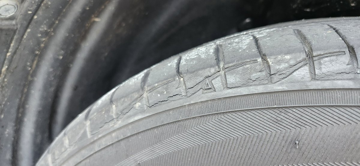 chai 🐇🏍️🚗 tweet media