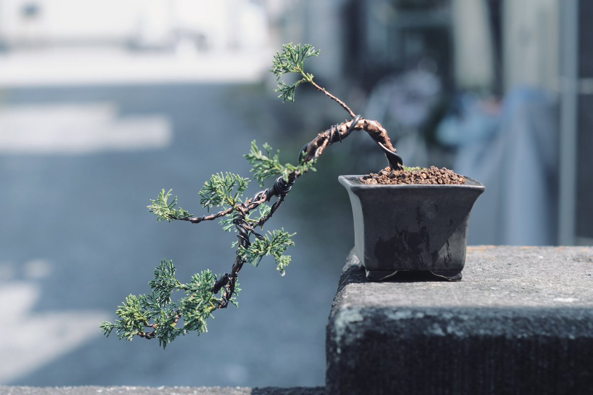 FUKUDA Toru 福田 亨 tweet media