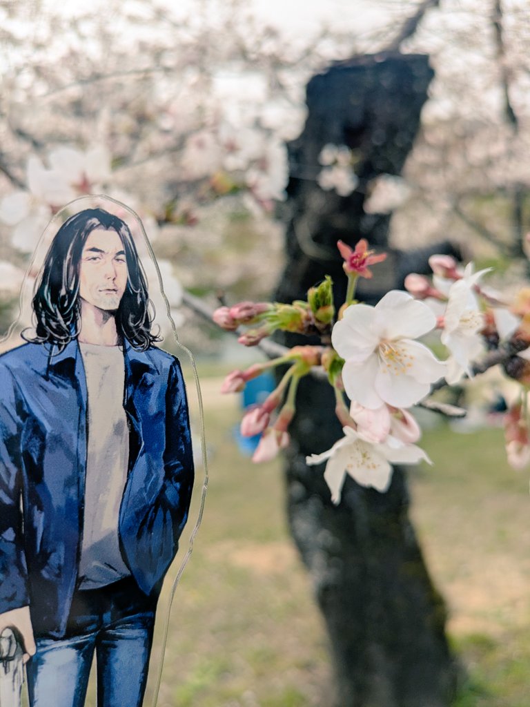 ｼｬﾓ♨️🪤🦈@原稿 tweet media