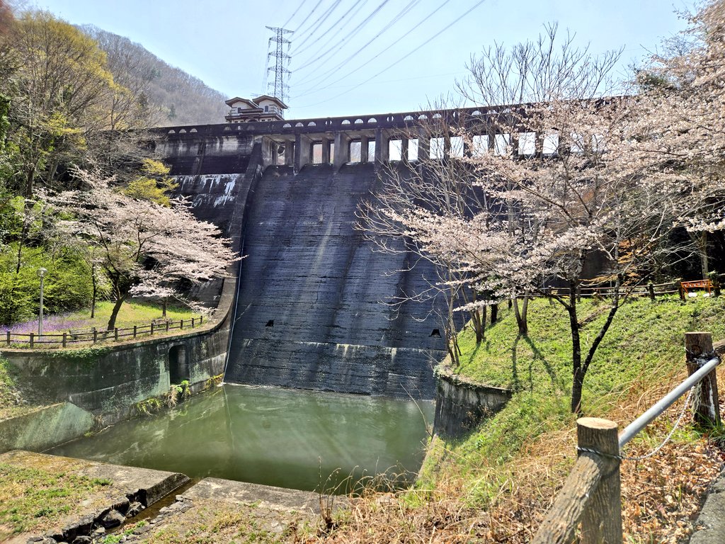 半炒飯 tweet media