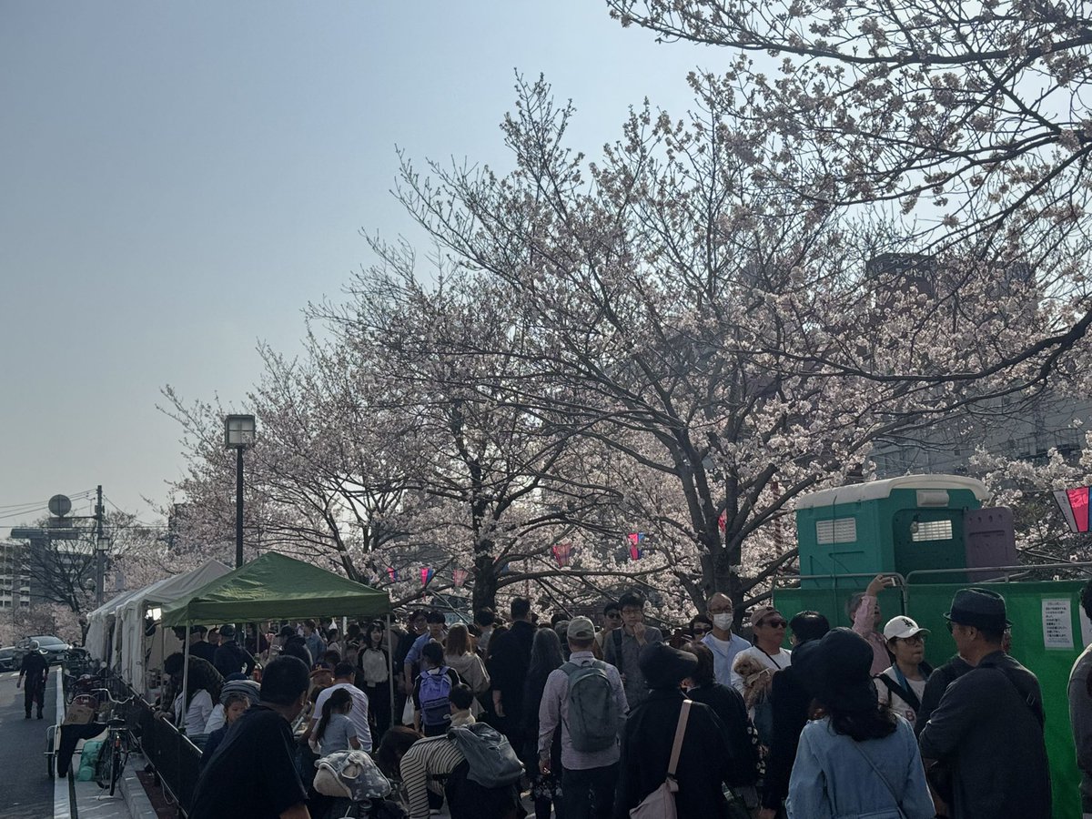 ミンチカス tweet media