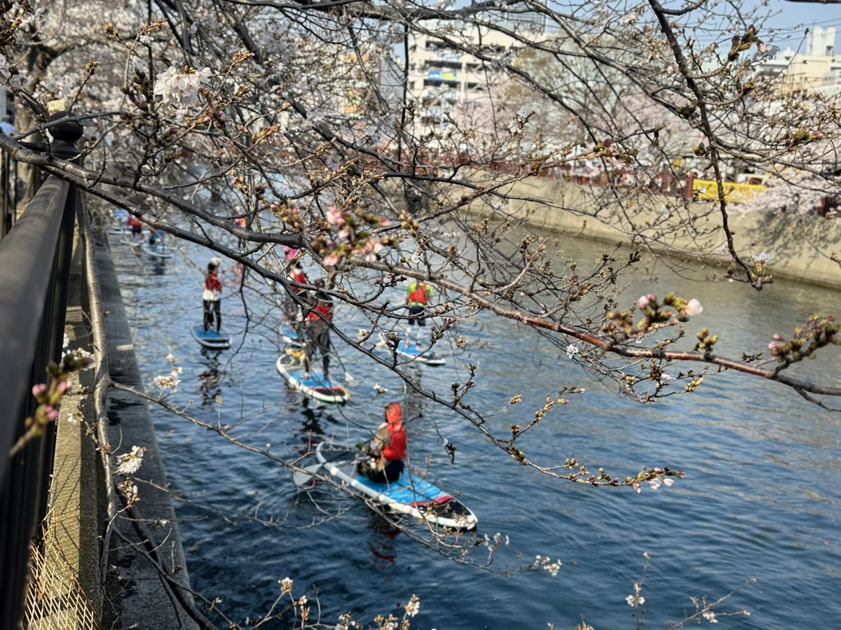 ミンチカス tweet media