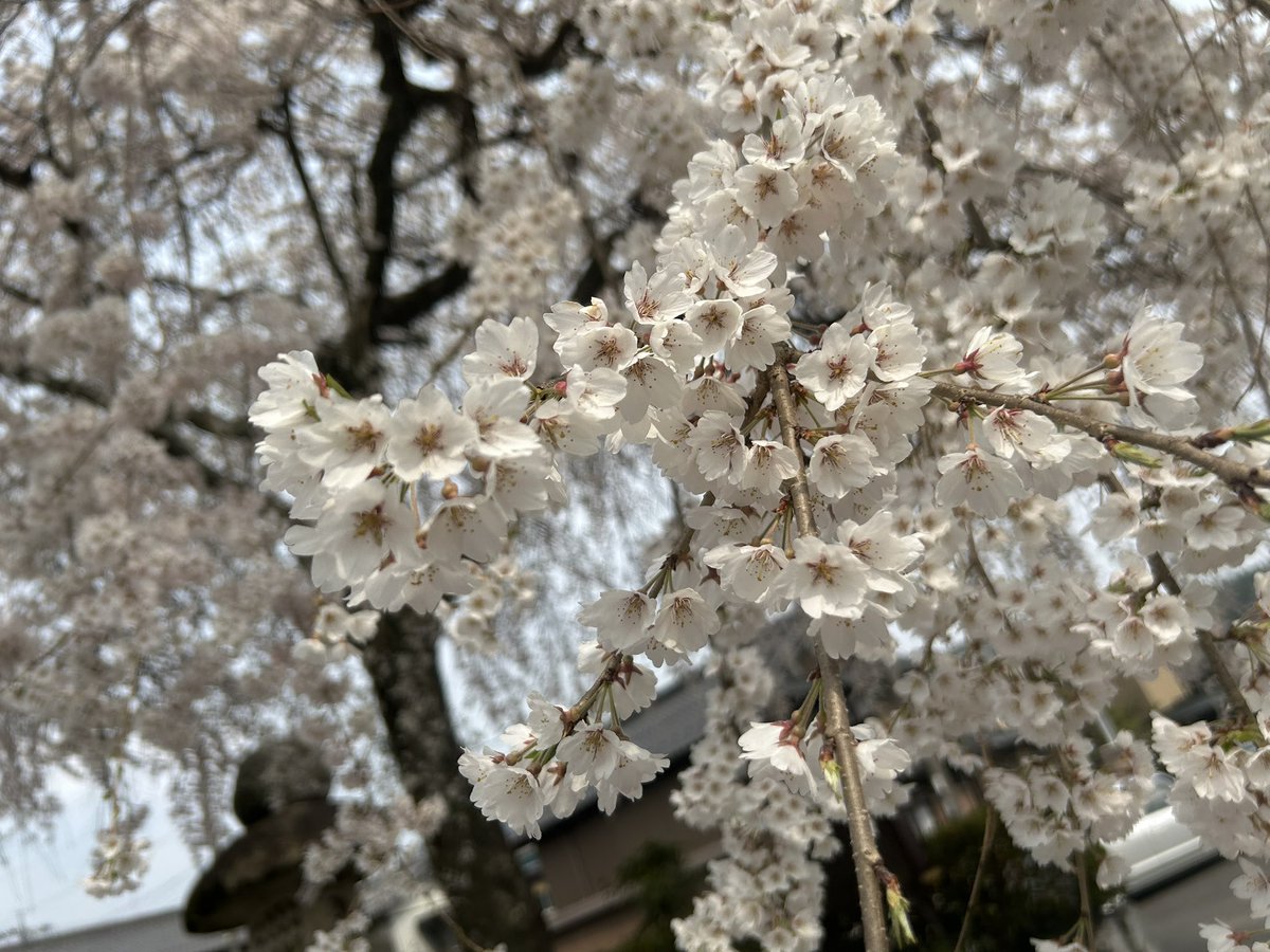 いつまでも楽器 tweet media