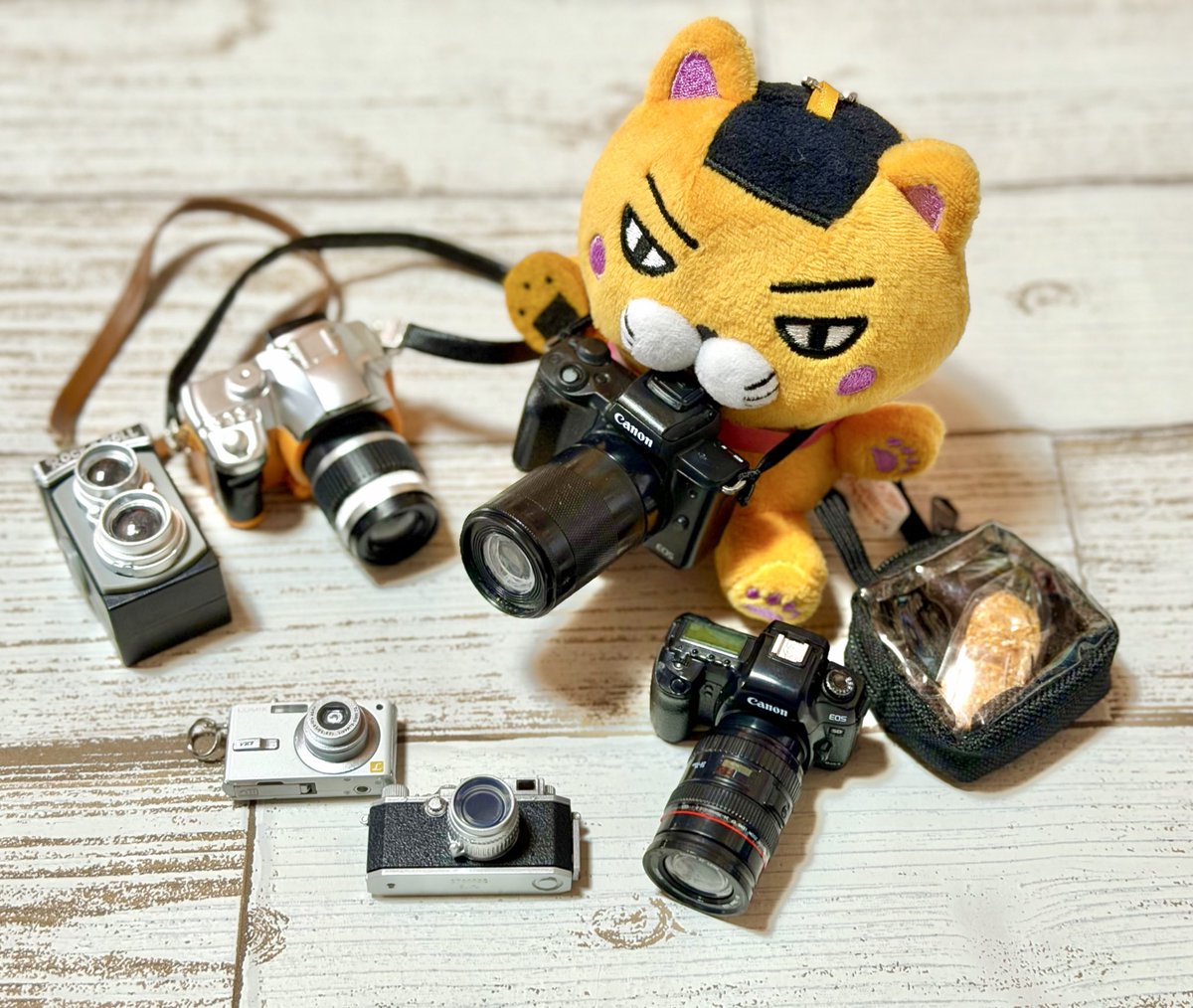 そうかニャン🍘ฅ(ↀᴥↀ)ฅT【公式】 tweet media