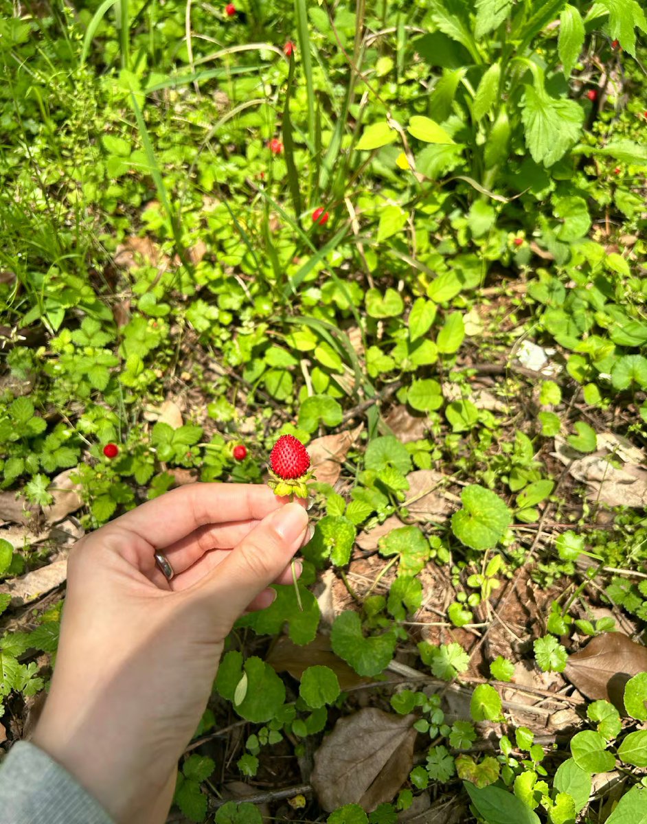 Jan Slocum tweet media