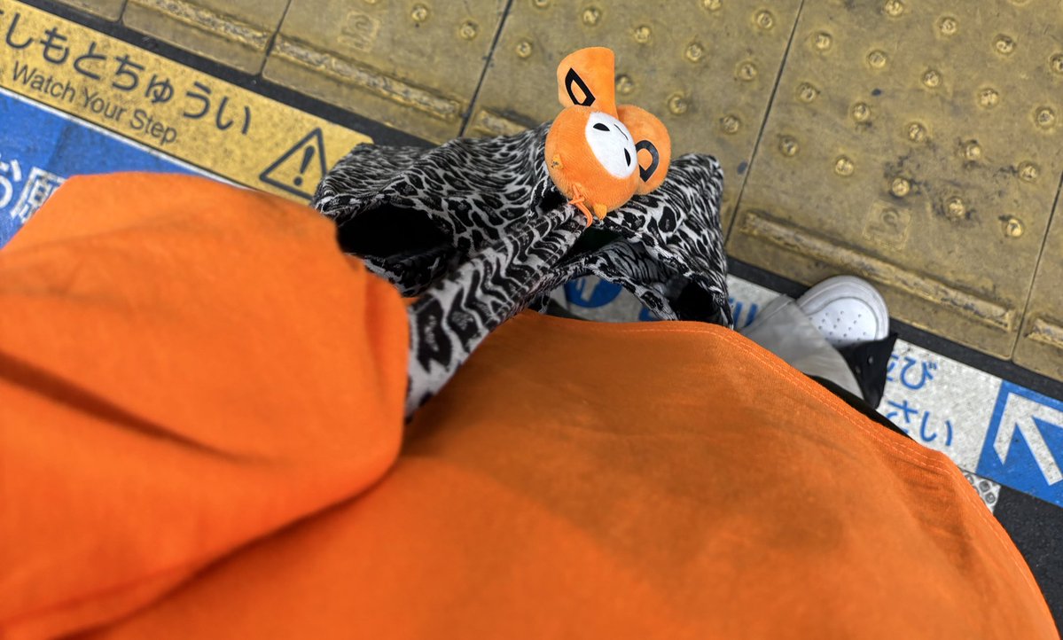 ファッキン"トモ"ニキ🦇🦴 tweet media