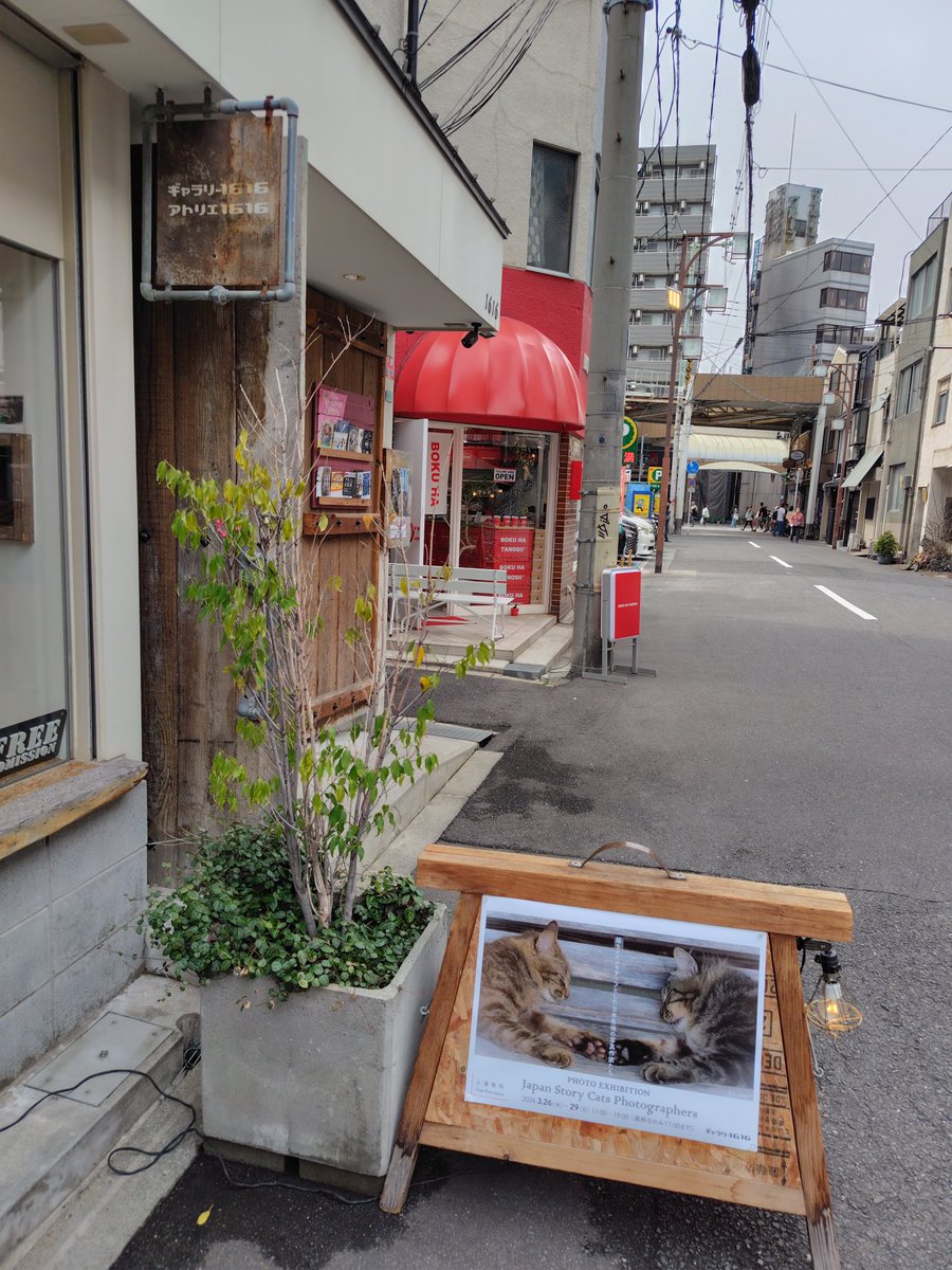 夢の旅人 tweet media