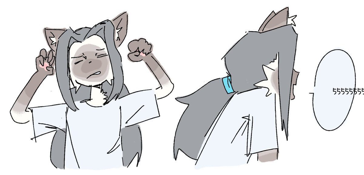 stardown tweet media