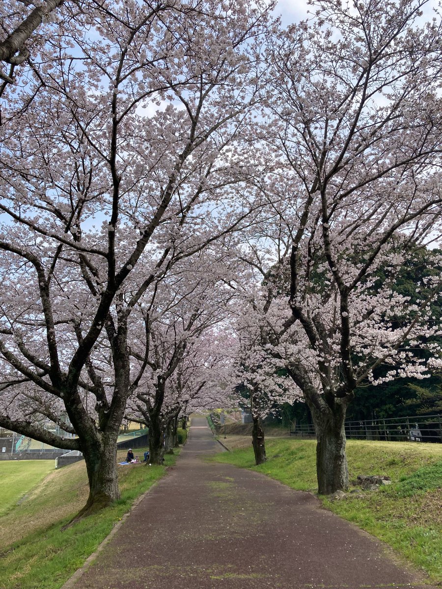 じゃむぽん tweet media