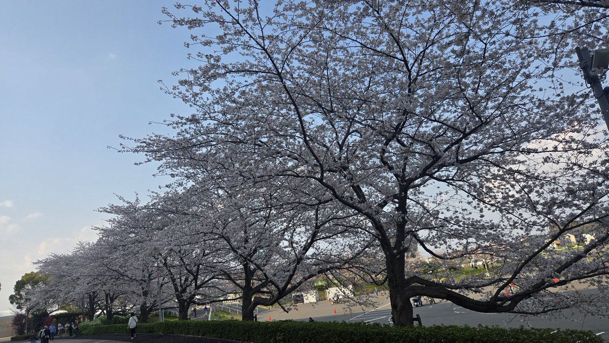 Tad🇾🇪 tweet media