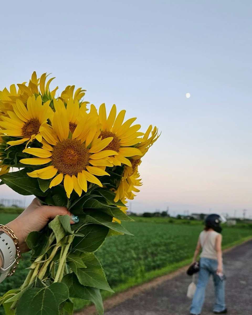 929Kanon's tweet photo. つまずいても 愛を持って❤️‍🩹
#カワサキ女子 #バイク女子 #女子ライダー
#ひまわり #ひまわり畑 https://t.co/SA3z0J4SDz
