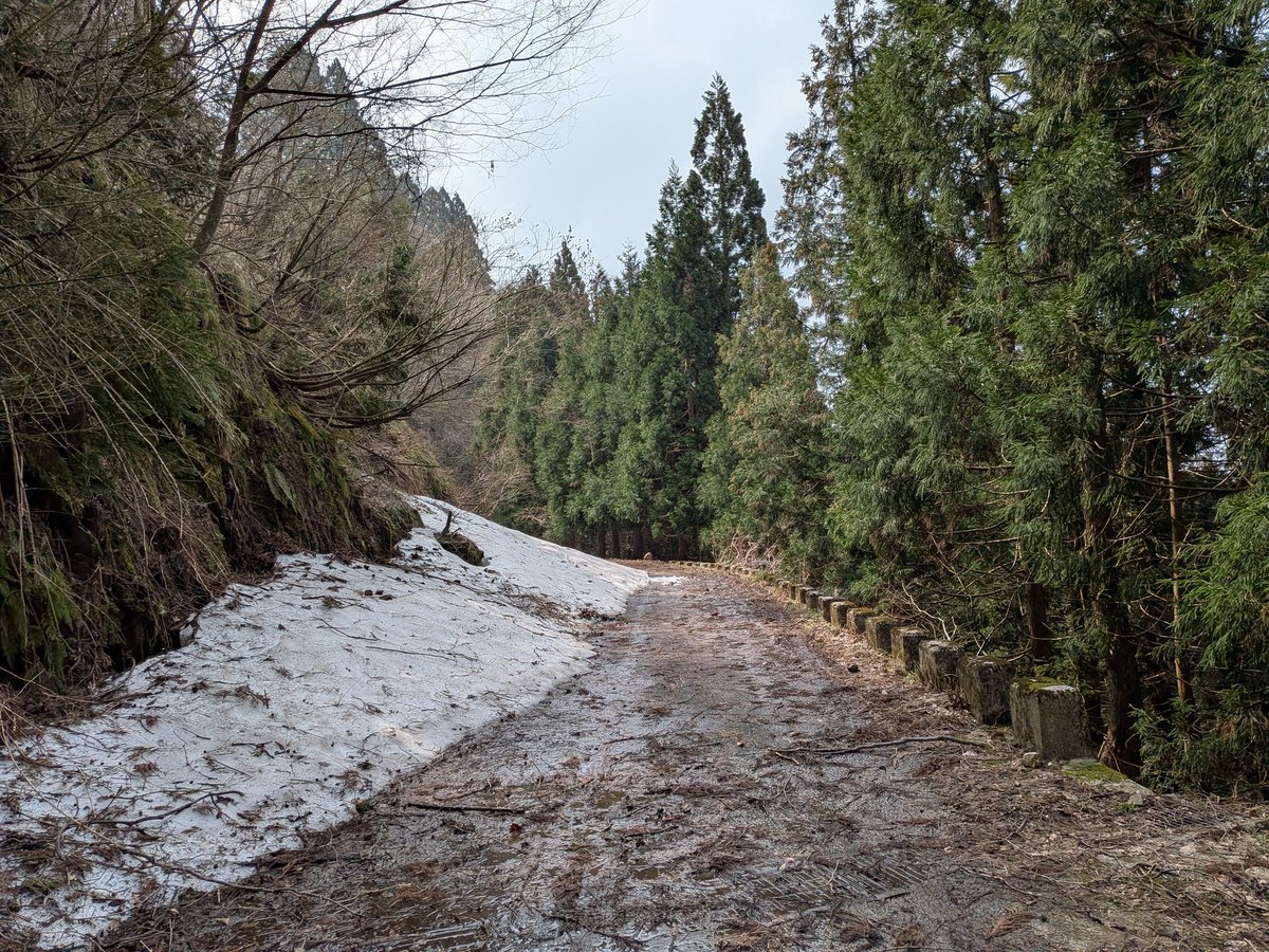 とやまHM678 tweet media