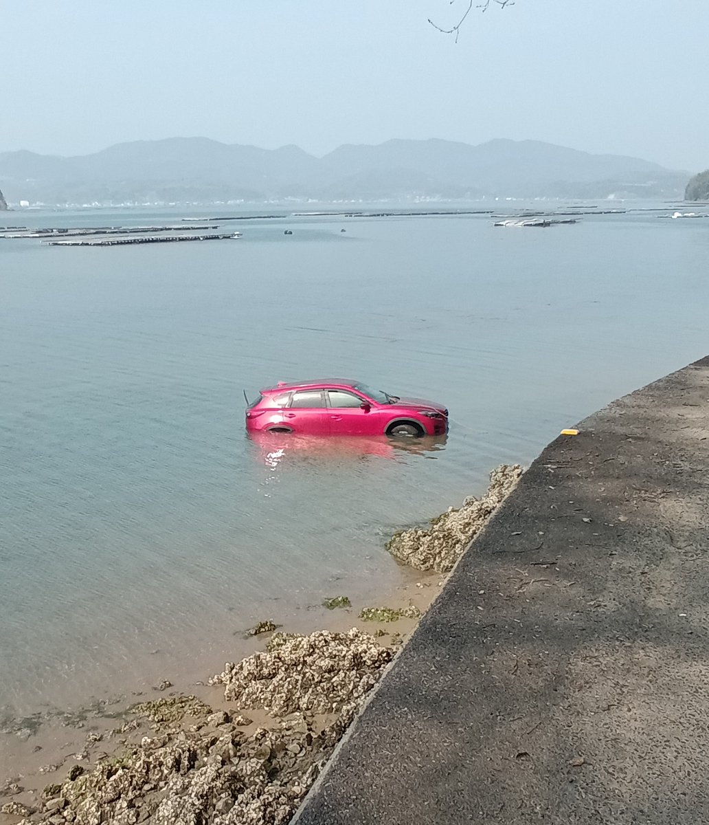 にごー tweet media