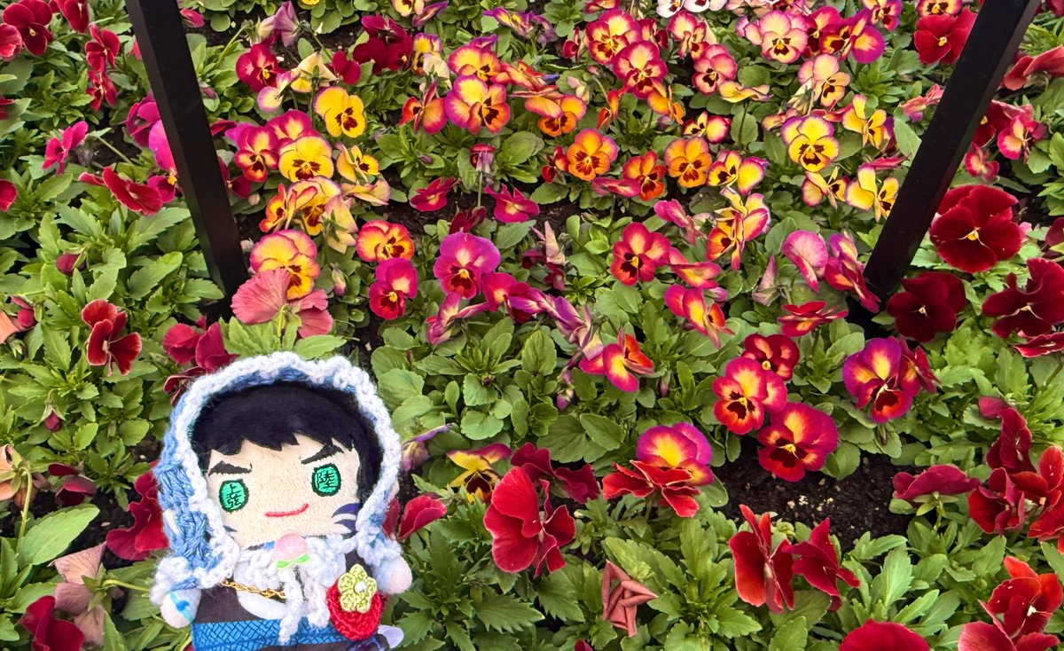 まめ岳くんlog tweet media