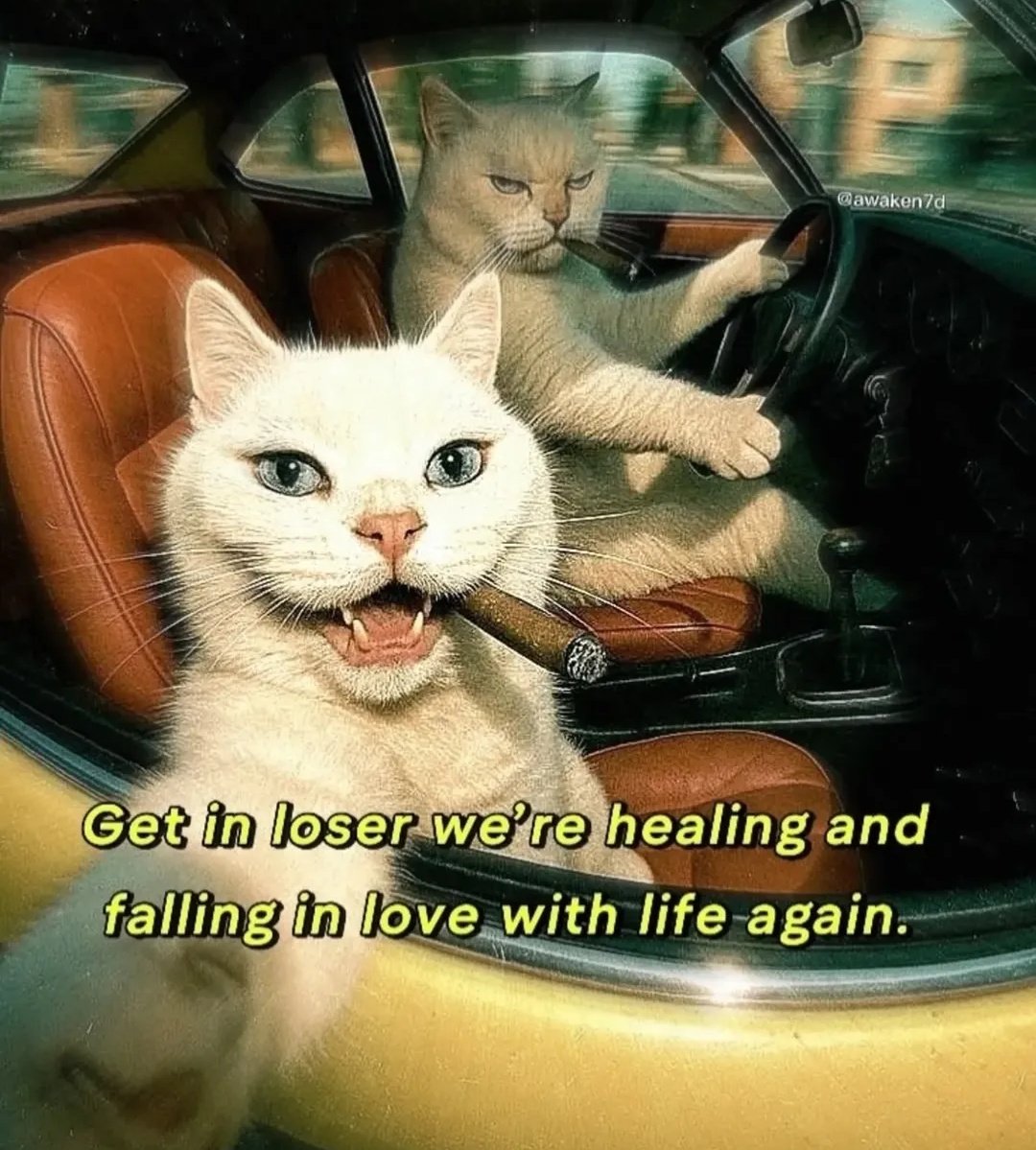 Pragya Singh tweet media