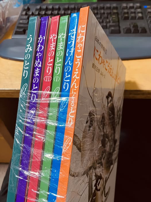 ドリトル柴田 tweet media