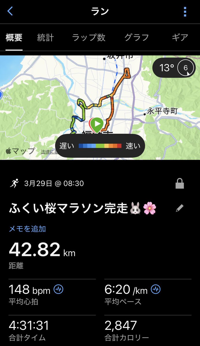 隼兎🐰🐼 tweet media