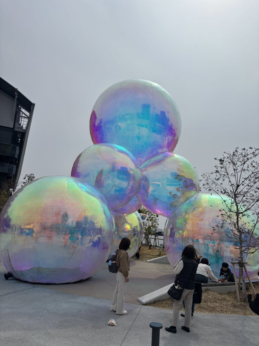 mfs_tsuka's tweet photo. ヒメヒナのバブリンすぎるってこれ https://t.co/5bKedpkr3J