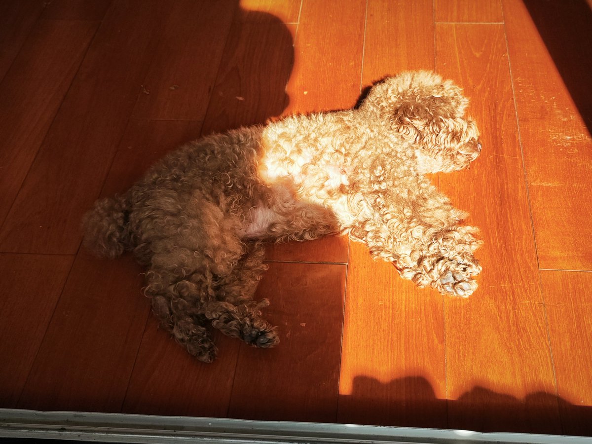 Robert C. Cravens tweet media